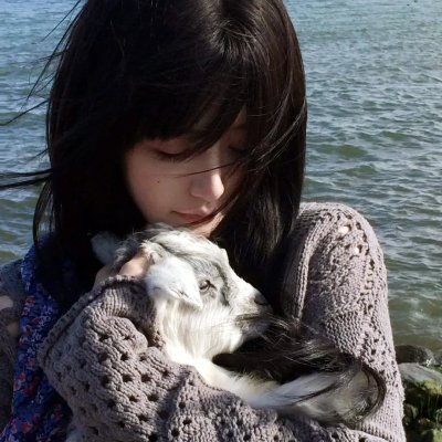 乃木坂春香的秘密